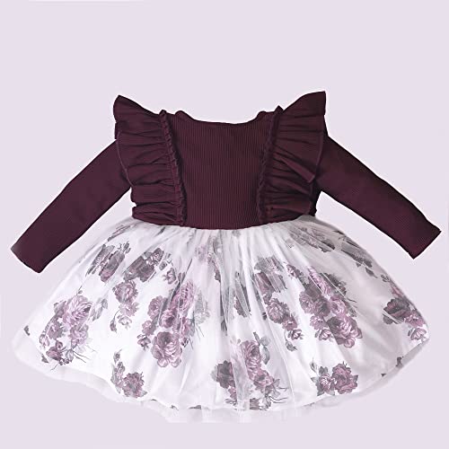 Image of OMALI Baby Girl Dungry Dress | Long Sleeve | Infant Casual Dress | Ruffle Print Clothes