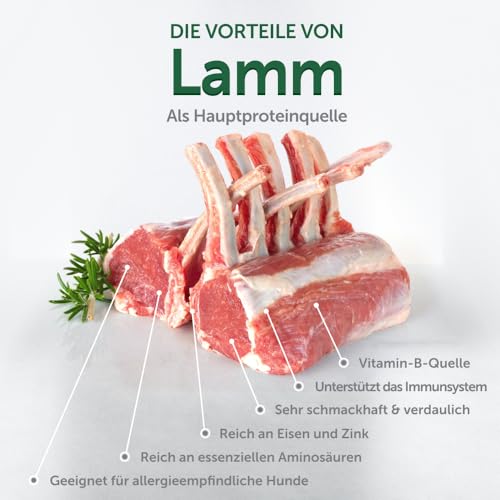 Nature's Protection Superior Care Trockenfutter für Hunde mit empfindlicher Haut und Magen - Hundefutter Trocken Getreidefrei für Kleine & Mini Rassen mit Lamm, Erwachsene Hunde, 1.5kg