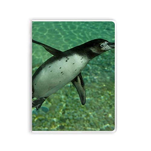Journal Science Nature Pingouin pour vos sorties en plein air