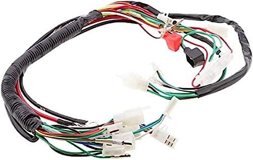 Kit De Chicote De Fiação Elétrica Para ATV Quad 4 Four Wheelers 110cc 125cc 250cc Go Kart Dirt Bikes