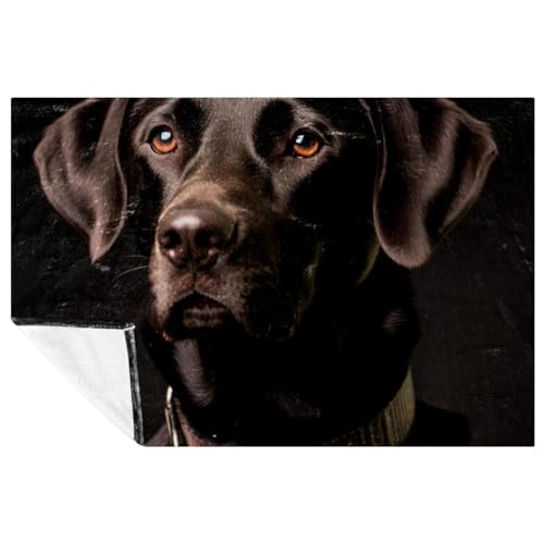 p̃X[uPbgA\t@puPbgX[,O̍ uPbgA59x39.3C`