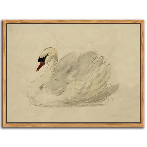 Floating Framed Vintage Wall Art Decor, Classical Swan Canvas Wall Prints, Rustic Sketch Watercolor Swan Poster Picture for Living Room Kitchen Bedroom Bathroom Farmhouse Decor 8x10 inch