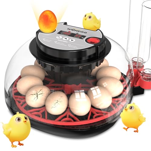 Incubateur d'œufs pour couver des œufs - Incubateur de 12 œufs avec rotation automatique des œufs et contrôle de l'humidité - Recharge automatique de bouteille d'eau externe - Visualisation à 360°