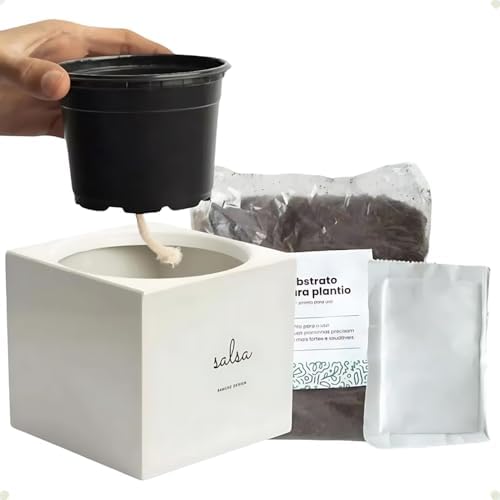 Kit Horta Urbana Vaso Autoirrigavel C/Substrato Semente Manjericã...