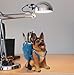 Photour Cute Dog Pen Holder for Desk, Pencil Holder, Creative Desktop Pen Organizer Pencil Cups, Unique Desk Accessories Decor for Home Office School, German Shepherd Gifts for Dog Lovers