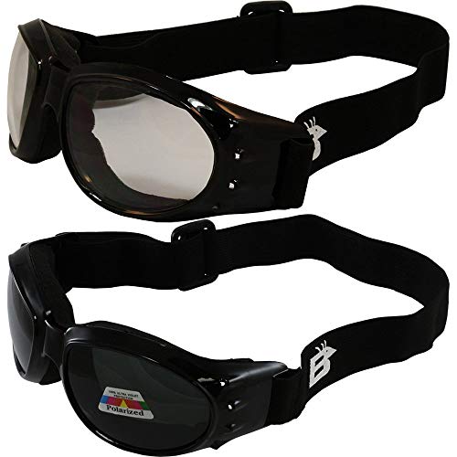 2 Pairs Birdz Eagle Padded Motorcycle Safety Goggles Black Frame w/Clear & Polarized Smoke Lenses, Day and Night Goggles
