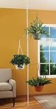 SPRING TENSION ROD INDOOR PLANT POLE WITH 3 ADJUSTABLE ARMS