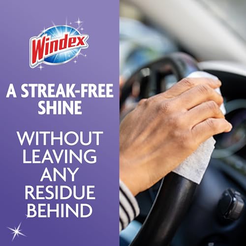 Image of Windex Wipes Glass Cleaning Ammonia Free, Pre-Moistened Wipes for Cleaning All Glass Surfaces, Crystal Rain Fresh Scent, 25 Count (Pack of 12)