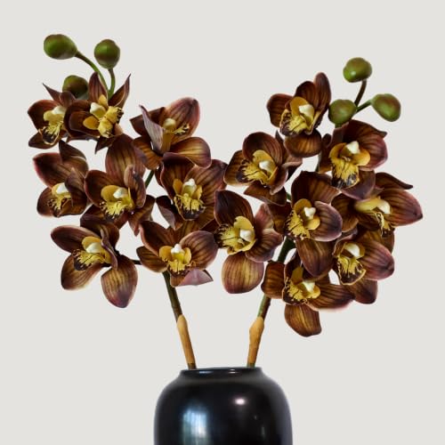 KBREE Real Touch Artificial Cymbidium Orchid Flowers, 31.5" Faux Orchid Stems with Large Blooms, 2 Pcs Premium Latex Fake Floral Branches for Home Decor, Wedding Centerpieces (Mocha Brown)