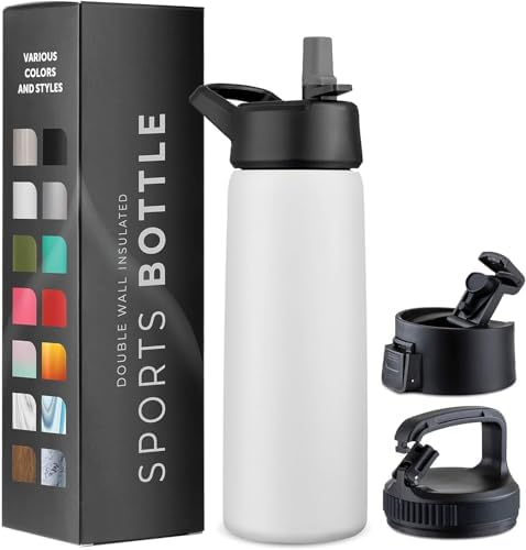 Triple-Insulated Stainless Steel Water Bottles with Straw, 25 Oz ...