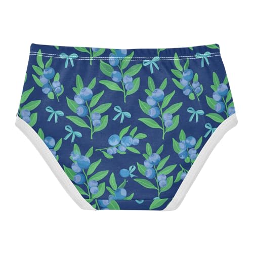 Fruit Blueberry Blue Toddler Girls's Underwear 2T 23031672
