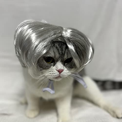 TESSVEYA Peruca divertida para cosplay de cães, gatos, acessório de cabeça, fantasia de gato para Ha
