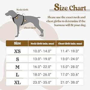 rabbitgoo Dog Harness No Pull with 2 Leash Clips, Adjustable Soft Padded, Reflective Oxford No Choke Pet Vest with Easy Control Handle for Large Dogs, Black, L rabbitgoo Dog Harness No Pull with 2 Leash Clips Adjustable Soft Padded Reflective Oxford No Choke Pet Vest with Easy Control Handle for Large Dogs Black L