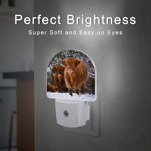 Image of Highland Cow Night Light for Kids, Winter Wild Animals Night Light Plug in with Dusk to Dawn Sensor, 0.5w Energy Saving Sleep Friendly Nightlight for Hallway Stairway Kitchen Bedroom