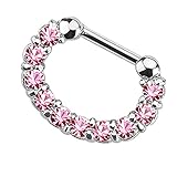 Taffstyle Piercing Clicker Ring Crystal para oreja, nariz, anillo íntimo, septum