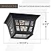 Sea Gull Lighting 78131-12 Herrington Two - Light Outdoor Ceiling Flush Mount Outside Fixture, Black 6.5x10.75x10.75