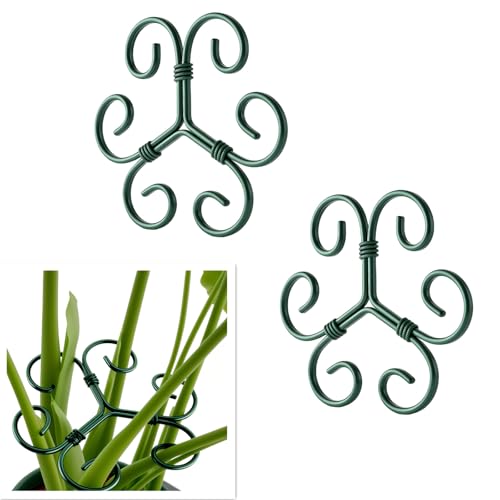 2Pack Green Iron Monstera Support,4.1 * 4.1IN Plant Support Stakes