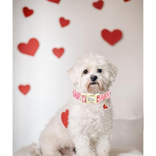 Image of Valentine's Pink Line Love-Heart Dog Collar for X-Small Dogs | Valentine Pet Outfit,Wedding,Anniversary,Daily Walks,Adjustable,Cotton Fabric,Quick Release Plastic Buckle,Pendant,Female Dog