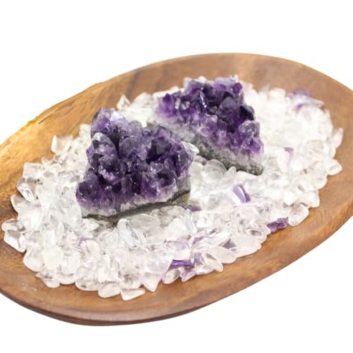 Nature p[Xg[ Ɏg򉻃Zbg VR    򉻎M (AWXgSA/AN 2)