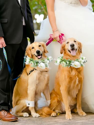 Dog Flower Collar, Dog Wedding Collar and Pearls Leash Set Adjustable Wreath Wedding Outfit Flower Collar Pet Photo Prop (Medium)