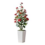 Photo Gallery fsohoi albero di camellia artificiale, albero falso di camellia, piante di camellia con pianta alta per l’arredamento interno (1, 4ft) Photo Gallery fsohoi albero di camellia artificiale, albero falso di camellia, piante di camellia con pianta alta per l’arredamento interno (1, 4ft)