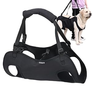 Dog Lift Harness For Stairs, Full Body Support & Recovery Sling, Pet Harness Carrier, Dog Support Sling, Puppy Rehabilitation Lift Vest Adjustable Strap, Thicken Handle For Joint Injuries