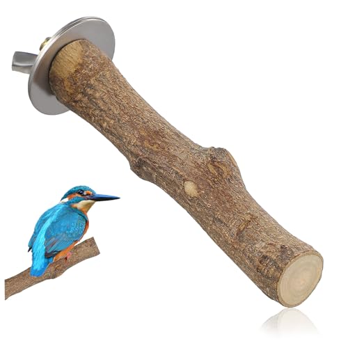 HOMOBABE ؐ~܂؃X^h pP[WANZT[ ^IE ZLZCCR tB`Ή VR؂ƃXeX ~ߑe