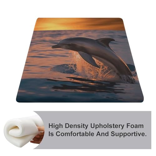 Coussin en mousse à mémoire de forme imprimé dauphin - 4