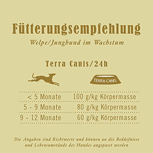 Terra Canis Huhn, Kürbis, Blütenpollen & Kamille - Welpen Nassfutter, 12x200g I Premium Hundefutter in 100% Lebensmittelqualität Aller Rohstoffe I Reichhaltig & gesund I Getreide - & glutenfrei