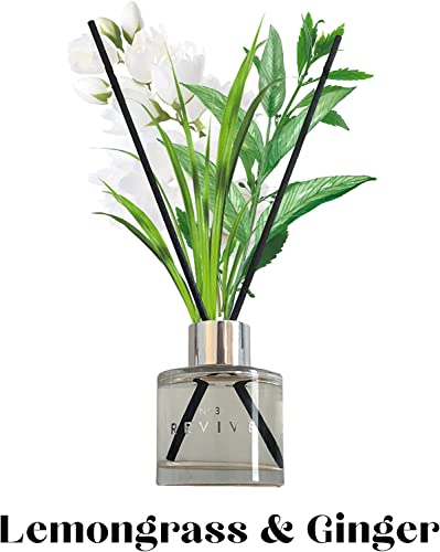 Ahuva Reed Diffuser Set Of 3 (1.7 Fl Oz Each)- Oil Diffuser & Reed Diffuser Sticks, Home Decor & Office Decor, Fragrance And Gifts #TOP6