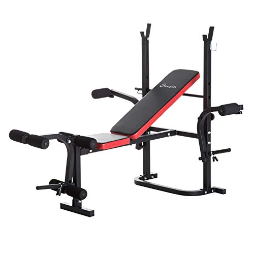 Soozier Adjustable Weight Bench with Leg Developer Barbell Rack for Weight Lifting and Strength Training Multifunctional Bench Press Workout Station for Home Gym
