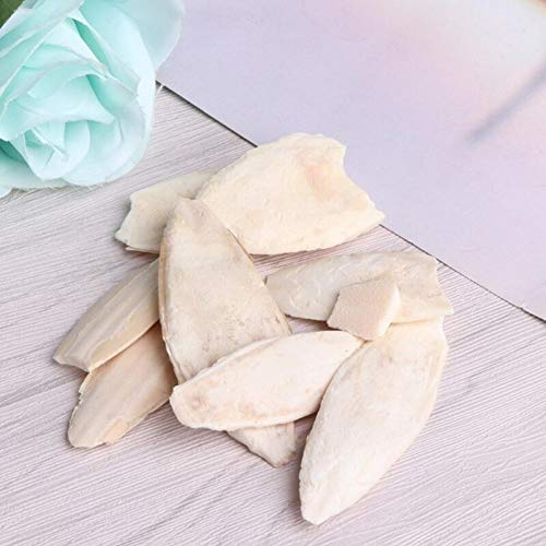 Zonster 1 Bag Cuttlebone Tintenfisch Sepia Knochen Tuppoly Fish Bird Food Calcium Pickstone Papagei Vögel Zähne Schleiftraining