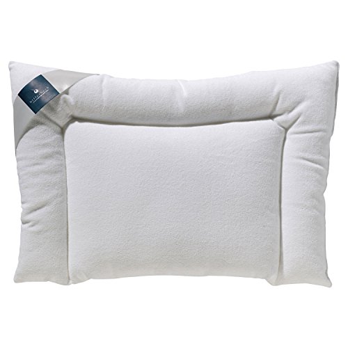 Billerbeck Kissen E02 Alina Flachkissen 40 x 60 cm - 5453810001 - 5453810001 Billerbeck Kissen E02 Alina Flachkissen 40 x 60 cm - 5453810001