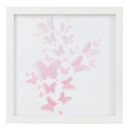 Green Frog Upgraded Shadow Box Frame 16 X 16 Inch with Butterfly Inner Display Board