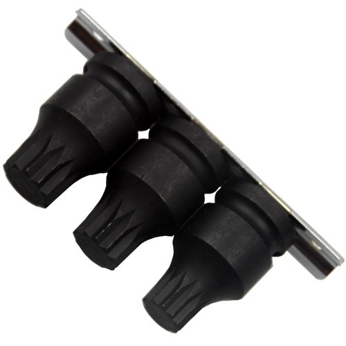 Kraft IMPACT Bits M14 M16 M18 – 12-Kant XZN, Schlagschrauberfest, Auf Steckleiste