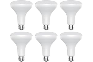 Classic GE LED Indoor Floodlight (65W Dimmable Equivalent)