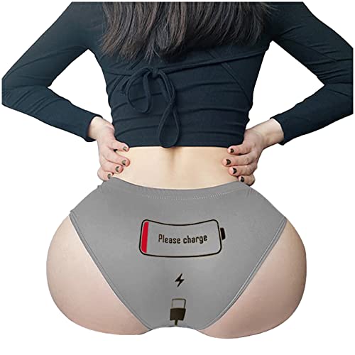 Tifzhadiao Sexy Panties For Women Please Charge Letter Print Underwear Funny Briefs For Ladies Sexy Slutty Naughty Underwear Gray #TOP11