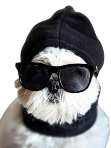Disfraz set retro para perro pequeño a mediano