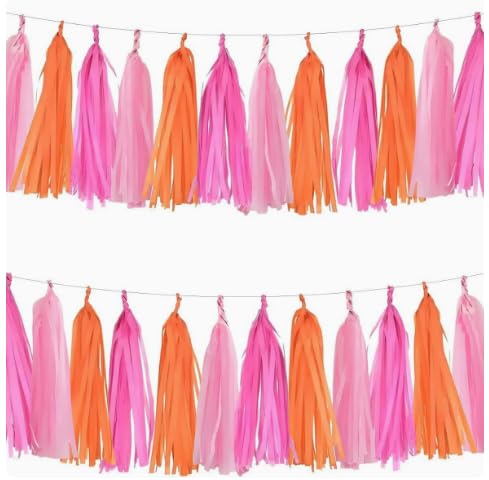 Quaste Girlande 60 Stück Party Quaste Dekorationen Papier Quaste Banner | Vielseitige Dekoration für Geburtstage, Hochzeiten, Babypartys, Abschlussfeiern und Fiestas.