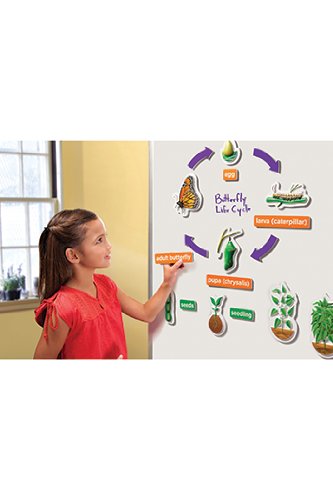 ▷ Mejores Libros de Bioconstrucción 2025 11 Learning Resources - Juguete Educativo de biología (EI-1761) (versión en inglés)