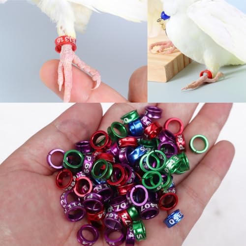 Naisfei 20 Stück Vogelfußring,Innendurchmesser ca. 6 mm,Vogelfußring Vogelbeinbänder Ringe,Offener Vogelring,für Vogel Papagei Taube Küken(Gemischte Farben)