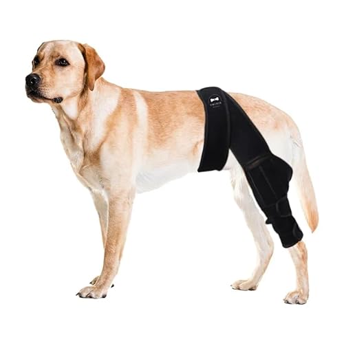 Dog Leg Braces for Back Leg – Adjustable & Secure Hind Dog Knee Brace for Dogs – Easy Fit Wrap for Joint Stability, Injury Recovery & Mobility Support – Dog Knee Brace for Torn Acl Hind Leg (Large)