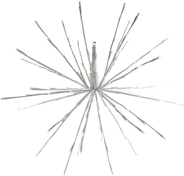 CELEBRATIONS Radiant Blast White 24
