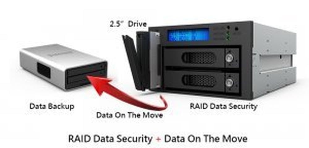 RAIDON Ir2022 Sistema RAID interno fuer 2 x 6,35 cm