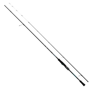 ☆美品☆ダイワ　エメラルダス 76M・V DAIWA（釣り） エギングロッド ダイワ エメラルダス 76M・V