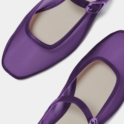 Stylish Mesh Mary - Jane Flats for Women - Buckled Strap & Pointed Toe Design3