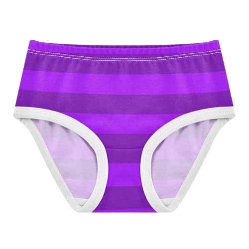 Purple Gray Stripe Toddler Girls's Underwear 2T