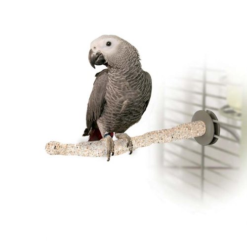 Sand Thermo-Perch Medium 13