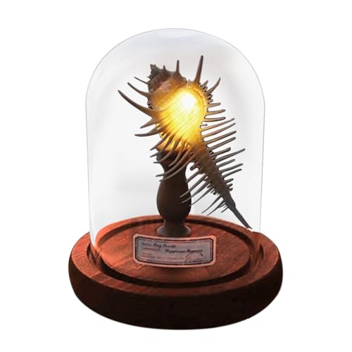 Luz nocturna de erizo de mar | Lámpara de mesa de animal de concha de erizo de mar | Noche náutica | Luz nocturna para mesita de noche, adorno de escritorio, accesorios de casa de muñecas