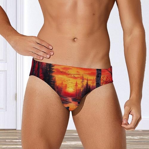 Black Bears Family Sunrise Forests Printed Swim Briefs for Men Sexy Bikini Swimwear Elastic Beach Trunks Bathing Suit2